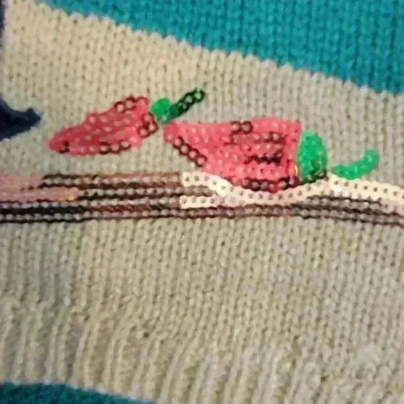 Holiday Time Christmas Sweater Womens XXL 20 Feliz Navidad Southwest Santa - Picture 7 of 16